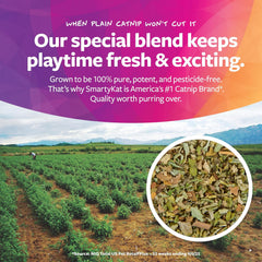 Skitter Critters Value Pack Catnip Cat Toys - Gray/Cream, Set of 10