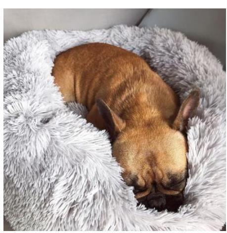 CozyNest™ – Round Plush Calming Pet Bed for Small Dogs & Cats
