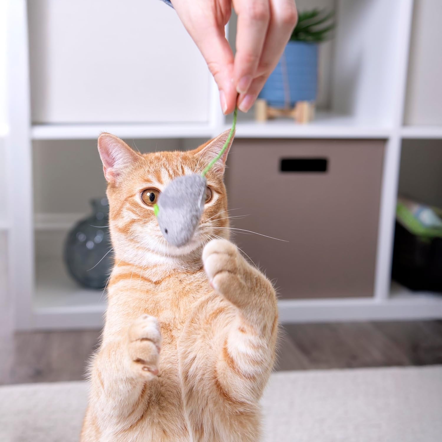 Skitter Critters Value Pack Catnip Cat Toys - Gray/Cream, Set of 10