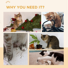 PawHut™ Cat Scratching Board – Reversible & Eco-Friendly