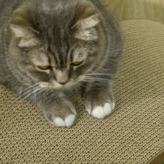 PawHut™ Cat Scratching Board – Reversible & Eco-Friendly