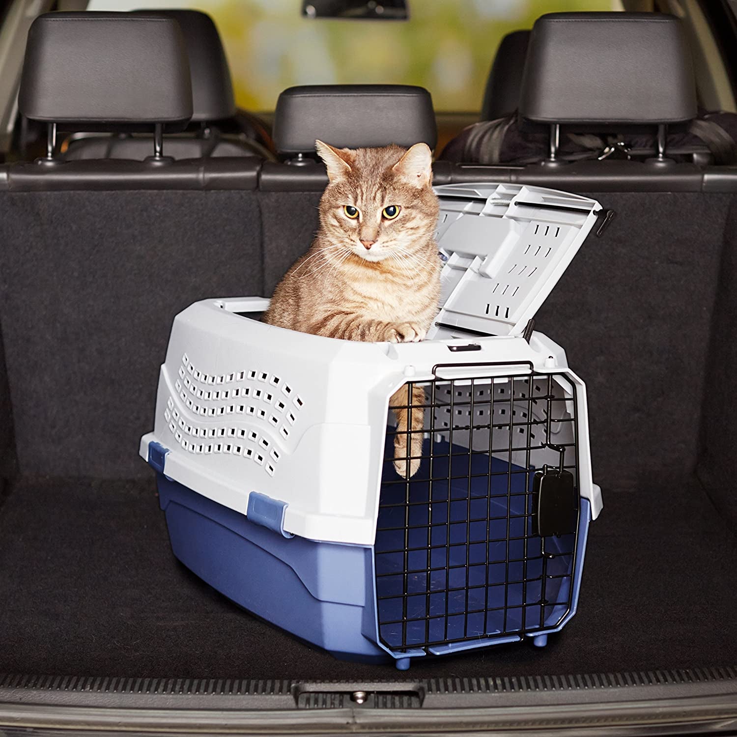 Sturdy Portable 2-Door Top-Load Hard-Sided Pet Travel Carrier with Secure Ventilation, Handle, Front & Top Entry for Dogs, Cats, 22.8"L X 15"W X 13"H, Gray & Blue